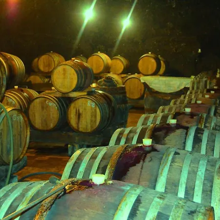 Gasthof Ezathouse Devicie