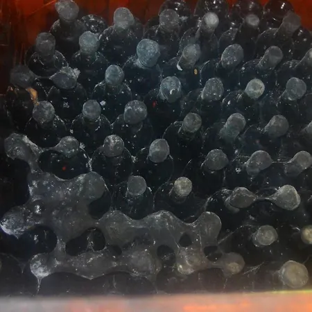 Ezathouse Devicie Casa de hóspedes Krupina