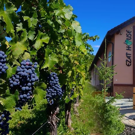 Gasthof Ezathouse Devicie *