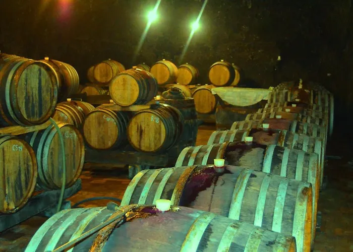 Pensjonat Ezathouse Devicie