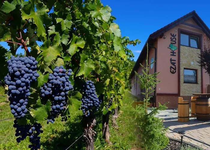 Pensjonat Ezathouse Devicie *